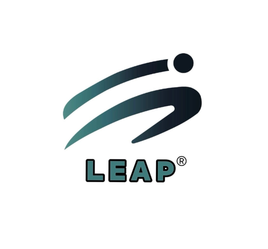 LEAP SLIDES